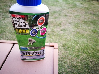 201705091.jpg