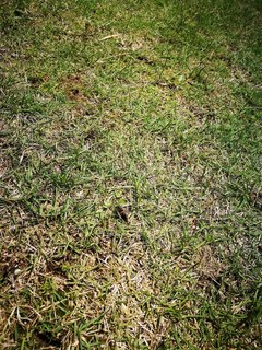 201805082.jpg